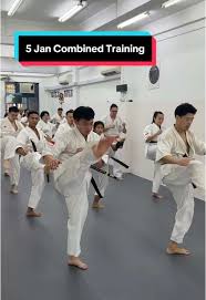 Image result for Synergy Tae Kwon Do
