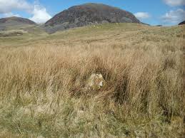 Image result for Beddau