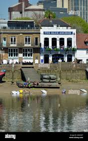 Image result for Auriol Kensington Rowing Club