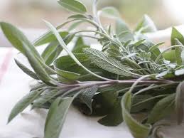 Image result for Salvie