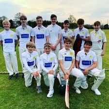 Image result for Budleigh Salterton Cricket Club