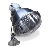 Risultati immagini per arcadia basking solar flood