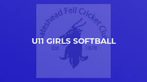 Image result for Gateshead Fell Cricket Club