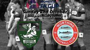 Image result for Leatherhead Football Club