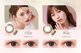 「ネオサイトワンデーシエル」の画像検索結果