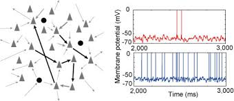 Image result for 生理現象ラキ