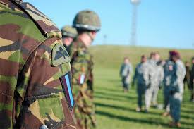 Image result for British Parachute Schools
