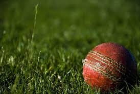 Image result for Wandham Cricket Club