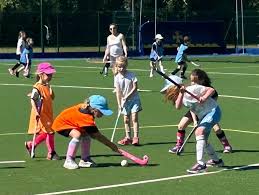 Image result for Stratford-Upon-Avon Hockey Club