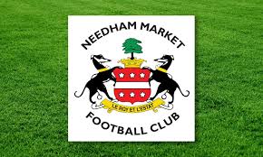 Image result for Needham Market Football Club