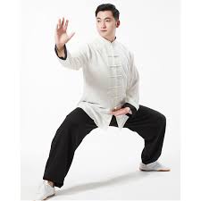 Image result for kung fu