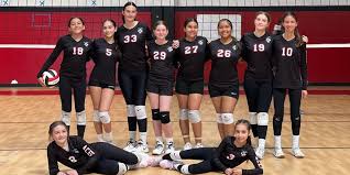 Image result for Reading Aces Volleyball Club