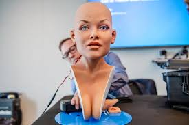 Image result for RealDoll