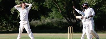 Image result for Effingham Cricket Club