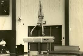 Image result for St Bedes Gymnastics Club