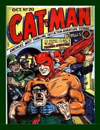 Image result for cat man