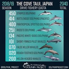Image result for japan dolphin slaughter