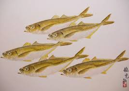 「魚拓」的圖片搜尋結果