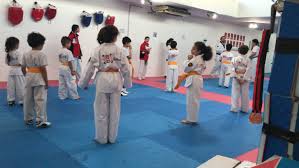 Image result for Red Dragon Taekwondo club
