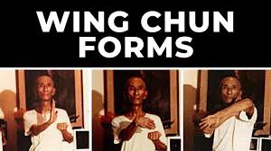Image result for Kamon Wing Chun