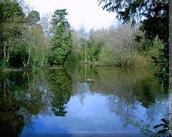 Image result for Leatherhead & District Angling Society