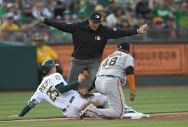 Image result for World Groundball Association