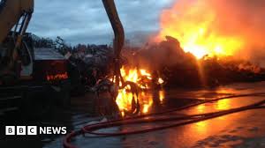 Image result for Swindon Flames