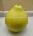 sweet golden pomelo china products,China sweet golden pomelo china ...