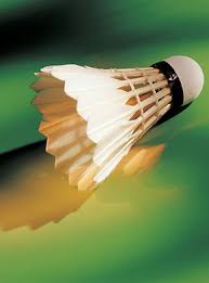 Image result for Dolphin Badminton Club
