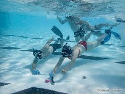 Image result for Jersey Octopush Club