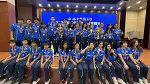 Image result for Wyvern Dragons Junior Badminton Club