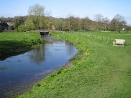 Image result for Hemel Hempstead Cc