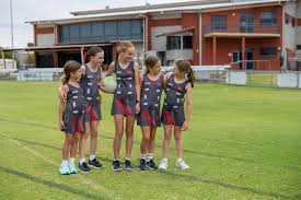 Image result for Lawn Netball Club