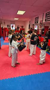 Image result for New Path Martial Arts Academy