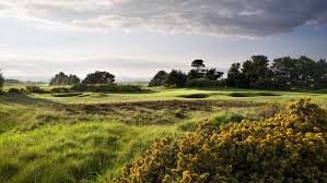 Image result for Ravenspark Golf Club
