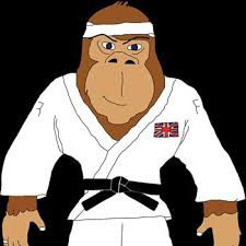 Image result for Comberton Judo Club