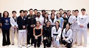 Image result for Invertay Taekwondo Club