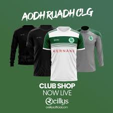 Image result for Aodh Ruadh Clg