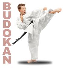 Image result for Blackpool Budokan Martial Arts