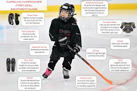 Image result for Arbroath Hurricanes Skater Hockey Club