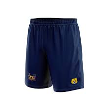 Image result for Goole Town Cricket Club