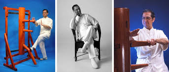 Image result for Windsor WingTsun Kung fu