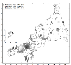 Attēlu rezultāti vaicājumam “Dicranella varia”