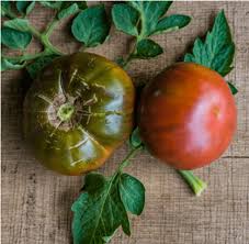 Afbeeldingsresultaat voor cherokee purple tomato