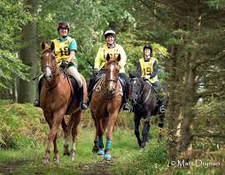 Image result for Ayr Riding Club