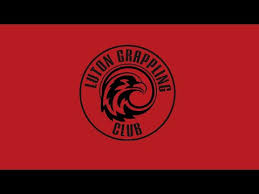 Image result for BJJ in Luton