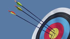 Image result for Blue Arrows Archery Club