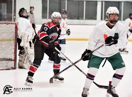 Image result for Norton Cyclones Skater Hockey Club