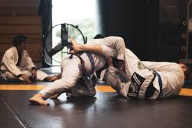 Image result for British Jujitsu Ryu