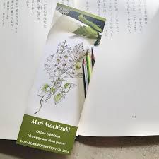 「望月麻里（マリ）」の画像検索結果